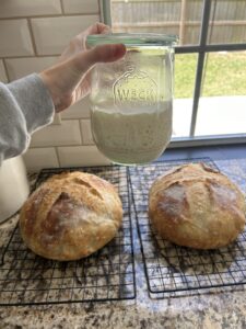 Sourdough Starter Recipe & Guide