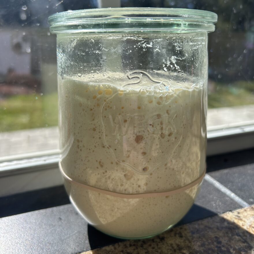 Sourdough Starter Recipe & Guide