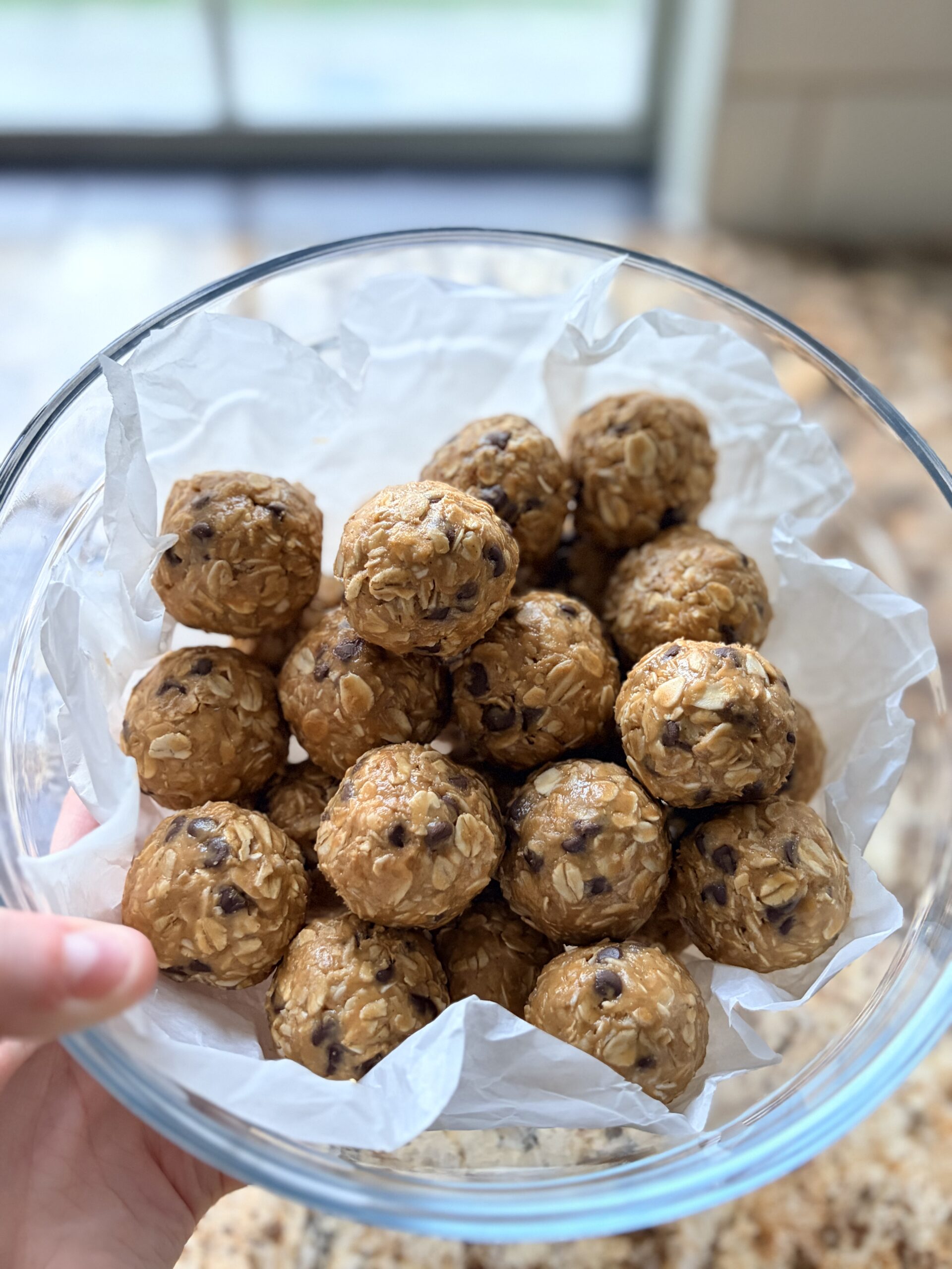 Peanut Butter Chocolate Chip Oatmeal Protein Ball Bites