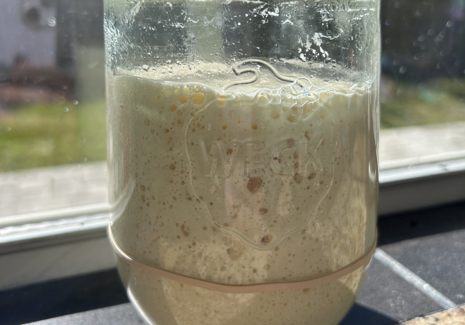 Sourdough Starter Recipe & Guide